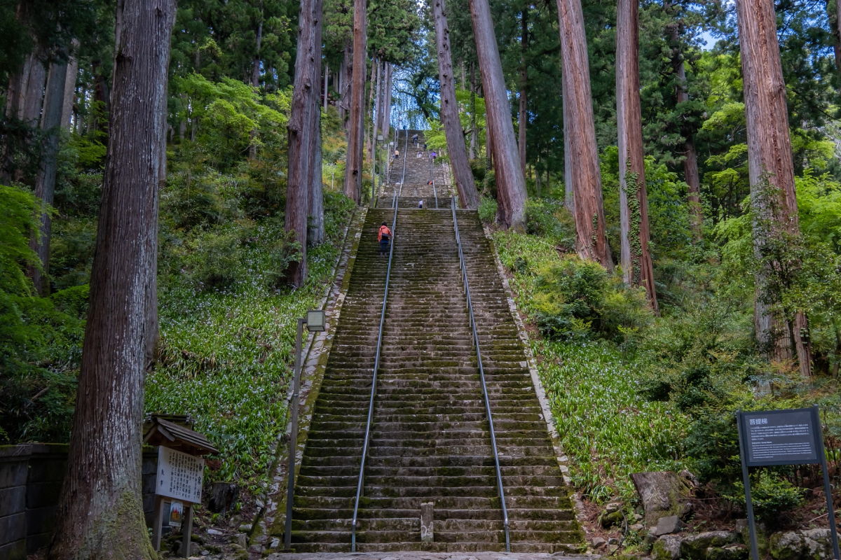 久遠寺　涅槃梯