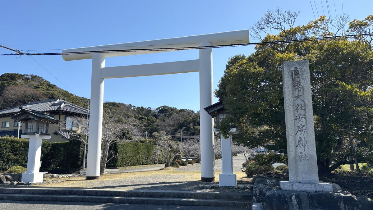 安房神社 大鳥居