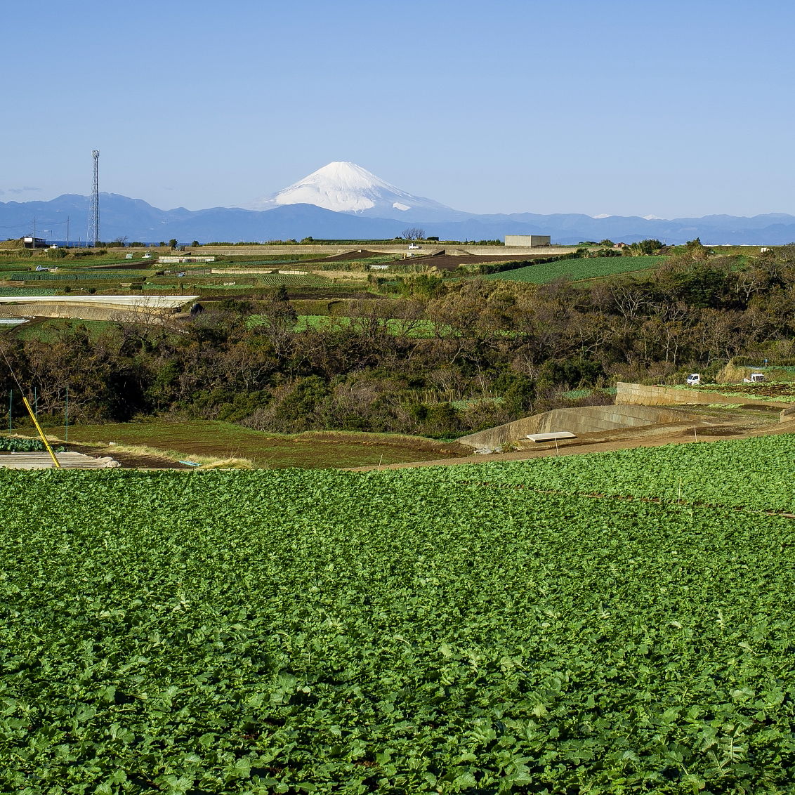 三浦半島
